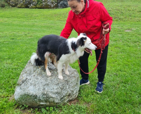 IMG-20220912-WA0000-495x400