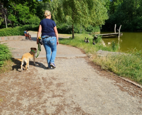 WhatsApp-Image-2023-06-12-at-14.36.32-1-495x400