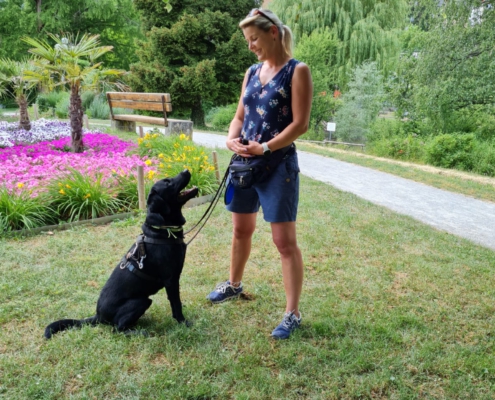 WhatsApp-Image-2023-06-17-at-16.16.00-495x400