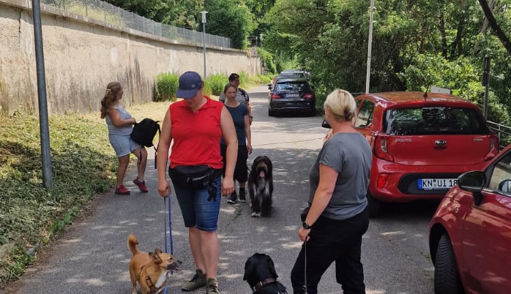 WhatsApp-Image-2023-06-17-at-17.08.42-747x430